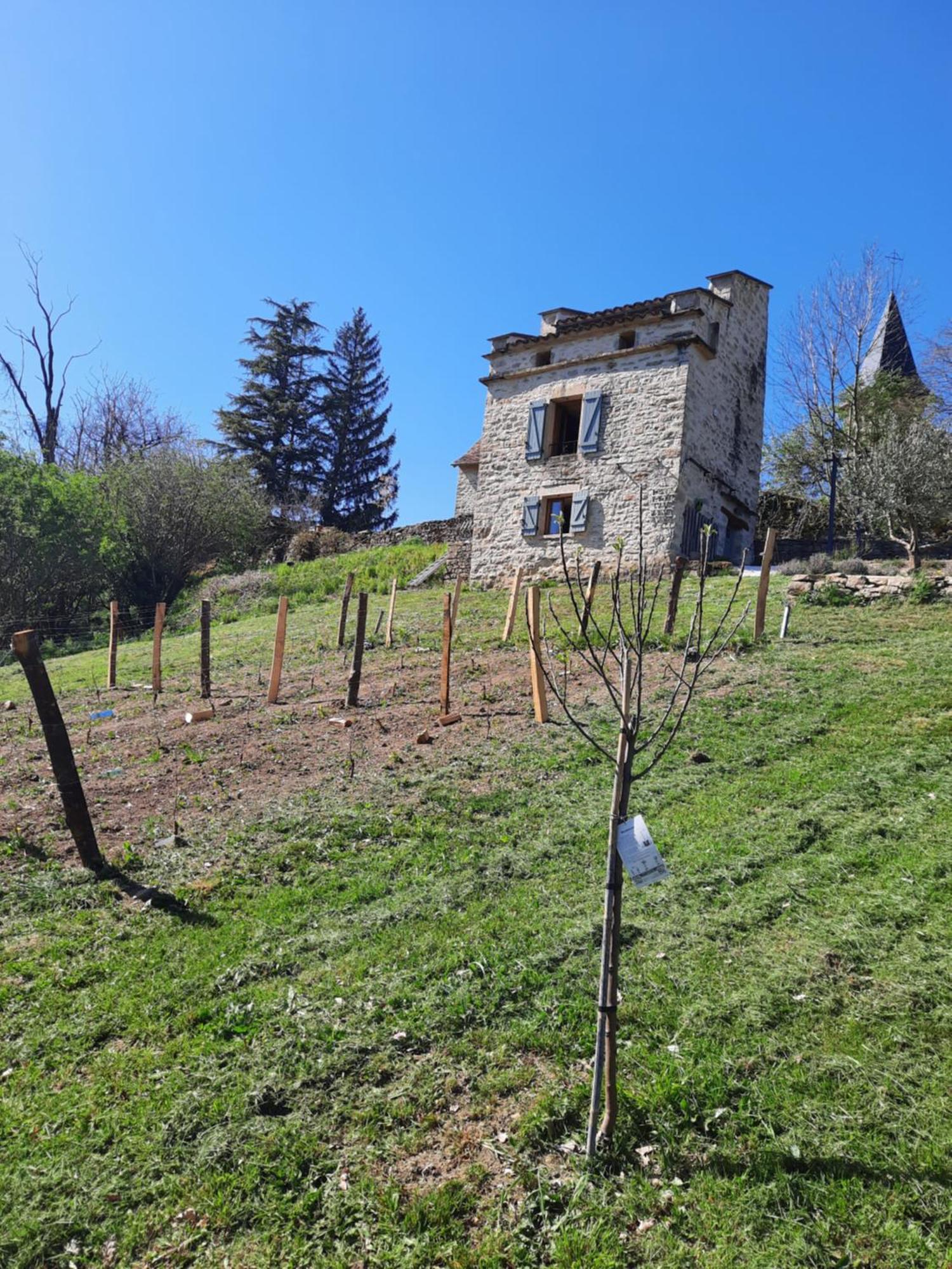Le Pigeonnier De Felines Caylus Quarto foto